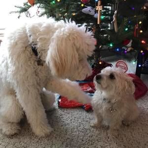 Meet your Posher, Jodi